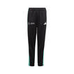 Pantalon enfant DNA Logo Mercedes AMG F1 2025
